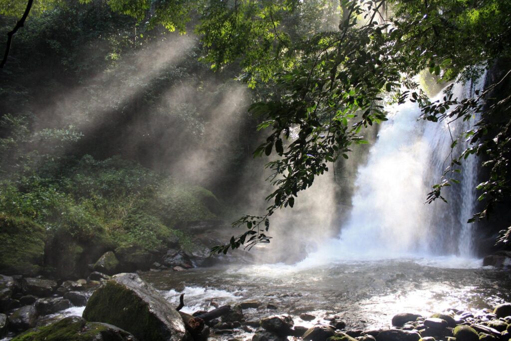 udzungwa national park sonjo natural pool 28