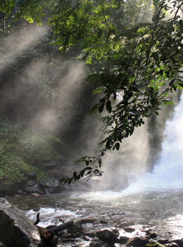 udzungwa national park sonjo natural pool 28