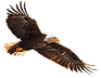 freepik background 25974 1