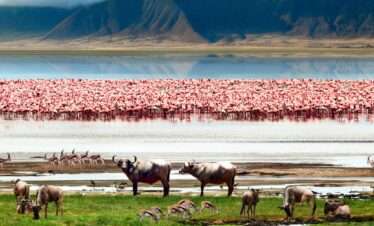 ngorongoro crater in tanzania