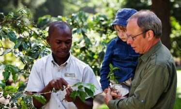 arushacoffeelodge coffee tour