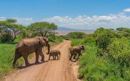 tarangire national park 063