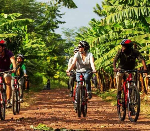 cycling in mto wa mbu 1 786x524