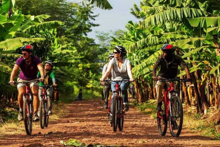 cycling in mto wa mbu 1 786x524