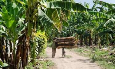 farm tours this is a