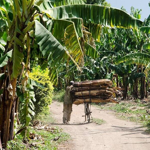 farm tours this is a