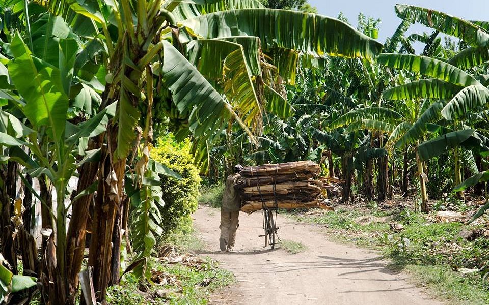 farm tours this is a