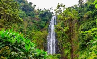 free materuni waterfalls coffee tour when you book your kilimanjaro climb 1752912671