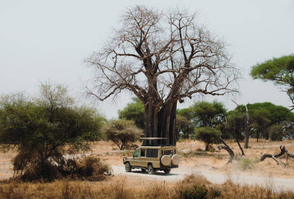 gettyimages 1370705183 612x612