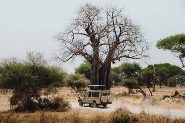 gettyimages 1370705183 612x612