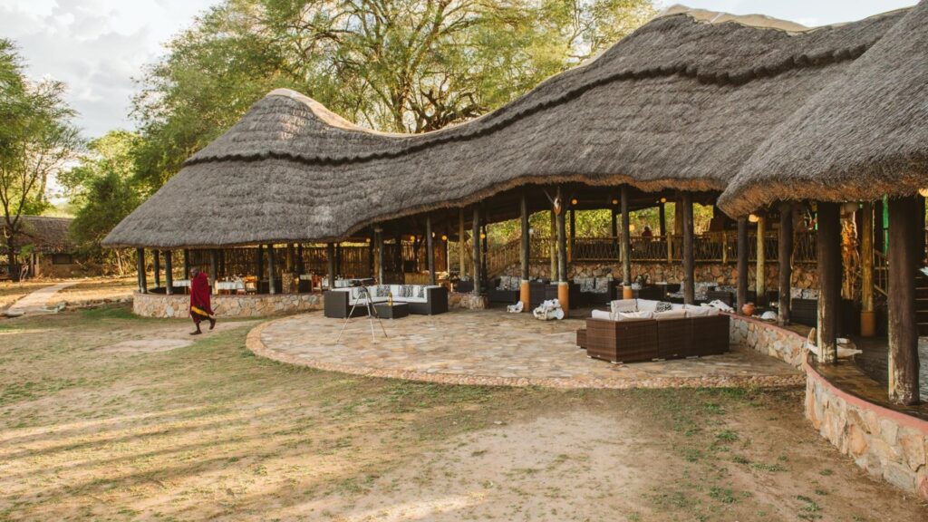 ruaha foxes caseypratt loveafrica 4505