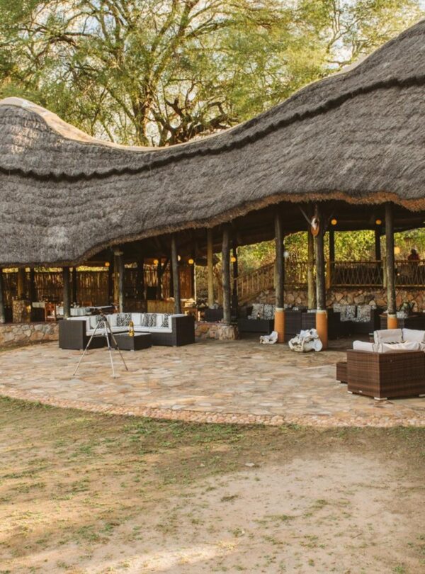 ruaha foxes caseypratt loveafrica 4505